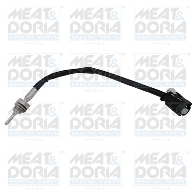 Sensor, exhaust gas temperature